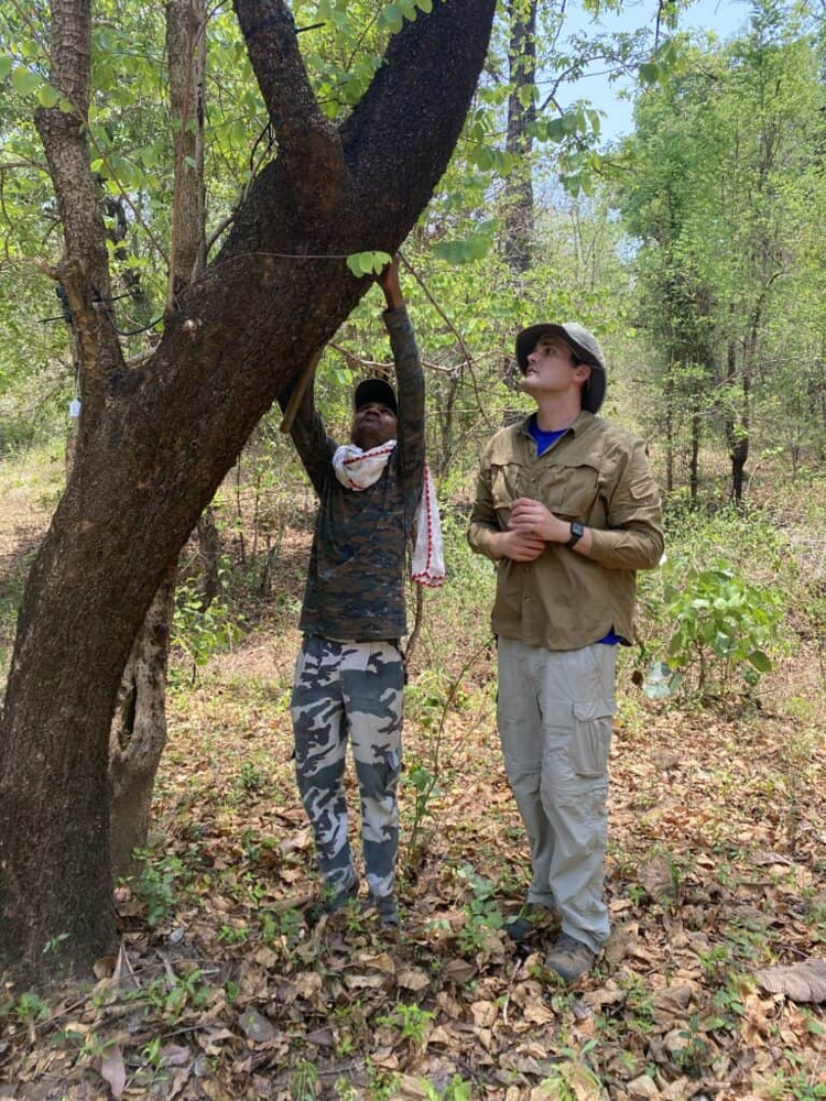 How Dual-Spectrum AI Cameras Are Protecting Wildlife: Global Applications and Impact
